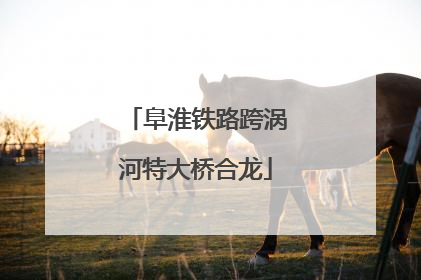 阜淮铁路跨涡河特大桥合龙