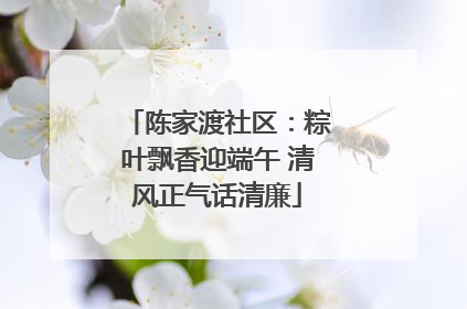 陈家渡社区：粽叶飘香迎端午 清风正气话清廉