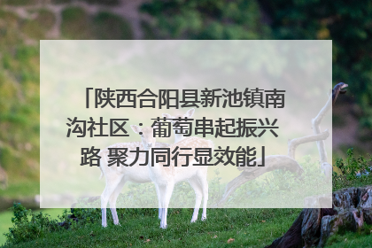 陕西合阳县新池镇南沟社区：葡萄串起振兴路 聚力同行显效能