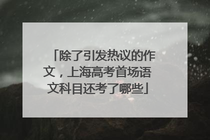 除了引发热议的作文，上海高考首场语文科目还考了哪些