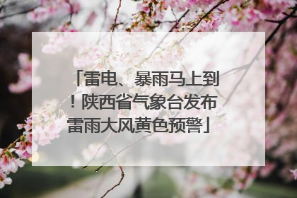 雷电、暴雨马上到！陕西省气象台发布雷雨大风黄色预警