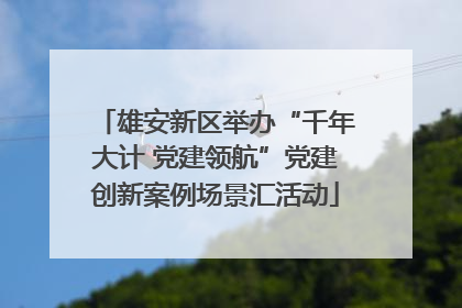 雄安新区举办“千年大计 党建领航”党建创新案例场景汇活动