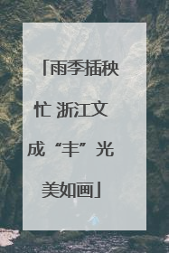 雨季插秧忙 浙江文成“丰”光美如画