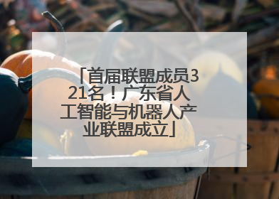 首届联盟成员321名！广东省人工智能与机器人产业联盟成立
