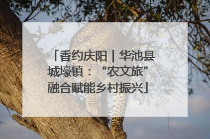 香约庆阳｜华池县城壕镇：“农文旅”融合赋能乡村振兴