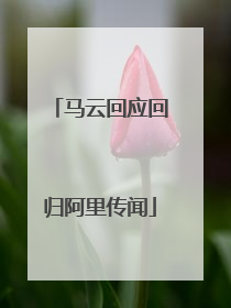 马云回应回归阿里传闻
