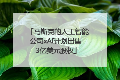 马斯克的人工智能公司xAI计划出售3亿美元股权