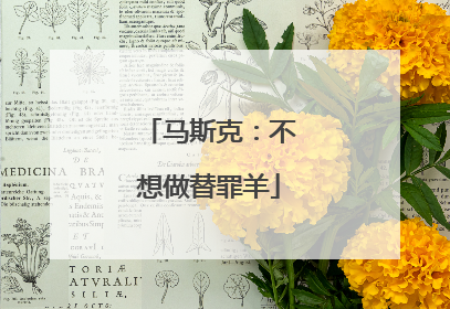 马斯克：不想做替罪羊