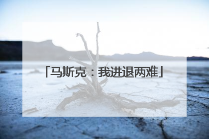 马斯克：我进退两难
