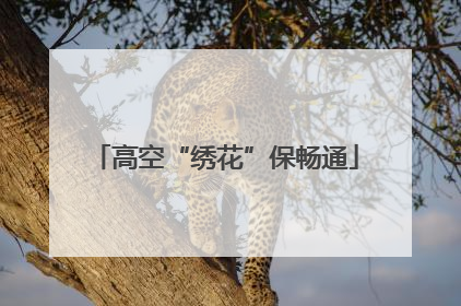 高空“绣花”保畅通