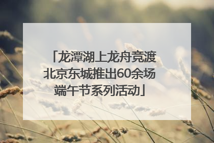 龙潭湖上龙舟竞渡 北京东城推出60余场端午节系列活动