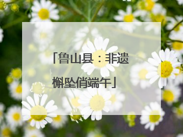 鲁山县：非遗槲坠俏端午