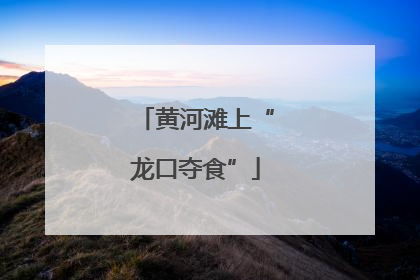 黄河滩上“龙口夺食”