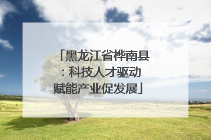 黑龙江省桦南县：科技人才驱动 赋能产业促发展