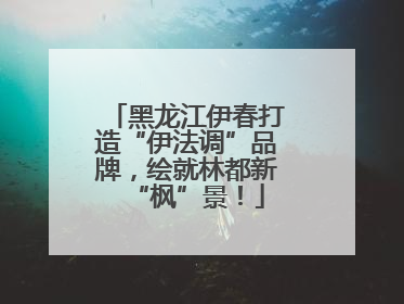 黑龙江伊春打造“伊法调”品牌，绘就林都新“枫”景！