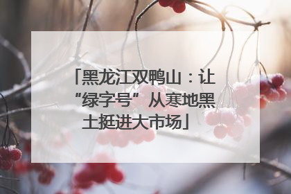 黑龙江双鸭山：让“绿字号”从寒地黑土挺进大市场