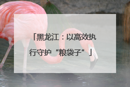 黑龙江：以高效执行守护“粮袋子”