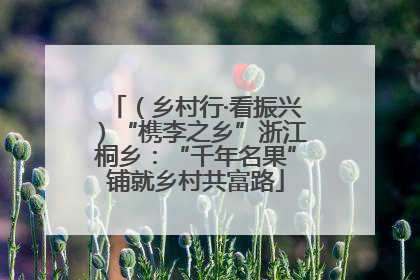 （乡村行·看振兴）“槜李之乡”浙江桐乡：“千年名果”铺就乡村共富路