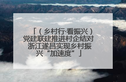 （乡村行·看振兴）党建联建推进村企结对 浙江遂昌实现乡村振兴“加速度”