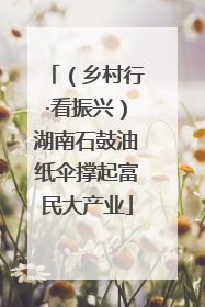 （乡村行·看振兴）湖南石鼓油纸伞撑起富民大产业