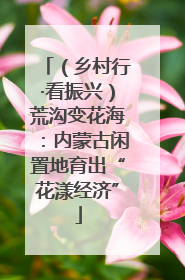 （乡村行·看振兴）荒沟变花海：内蒙古闲置地育出“花漾经济”