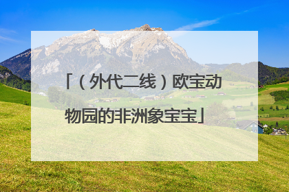 （外代二线）欧宝动物园的非洲象宝宝
