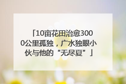 10亩花田治愈3000公里孤独，广水独眼小伙与他的“无尽夏”