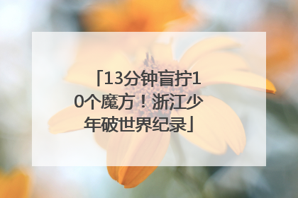 13分钟盲拧10个魔方！浙江少年破世界纪录