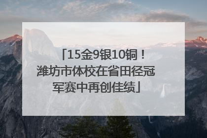 15金9银10铜！潍坊市体校在省田径冠军赛中再创佳绩