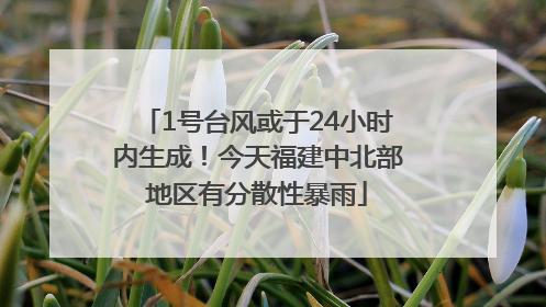 1号台风或于24小时内生成！今天福建中北部地区有分散性暴雨