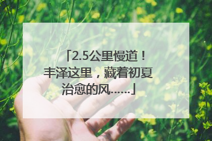 2.5公里慢道！丰泽这里，藏着初夏治愈的风……