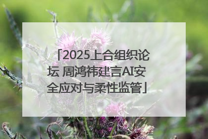 2025上合组织论坛 周鸿祎建言AI安全应对与柔性监管