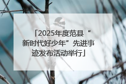 2025年度范县“新时代好少年”先进事迹发布活动举行
