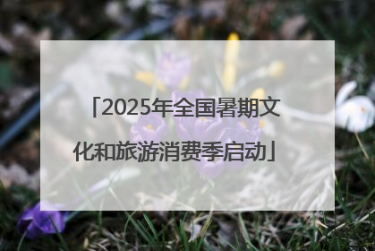 2025年全国暑期文化和旅游消费季启动