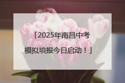 2025年南昌中考模拟填报今日启动！