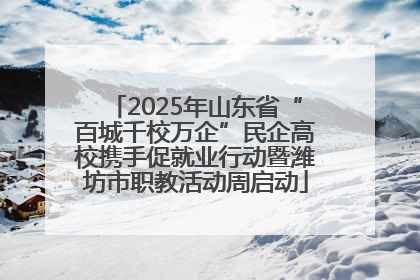 2025年山东省“百城千校万企”民企高校携手促就业行动暨潍坊市职教活动周启动