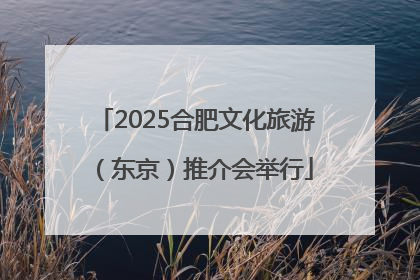 2025合肥文化旅游（东京）推介会举行