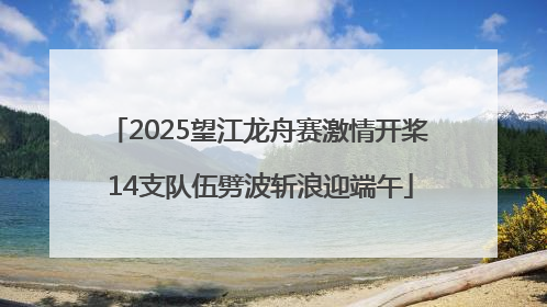 2025望江龙舟赛激情开桨 14支队伍劈波斩浪迎端午