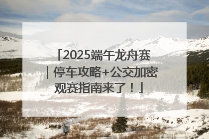 2025端午龙舟赛｜停车攻略+公交加密 观赛指南来了！