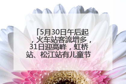 5月30日午后起，火车站客流增多，31日迎高峰，虹桥站、松江站有儿童节和端午亲子活动