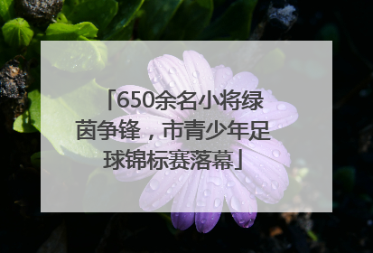 650余名小将绿茵争锋，市青少年足球锦标赛落幕