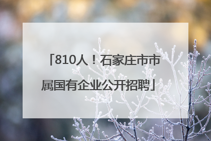 810人！石家庄市市属国有企业公开招聘