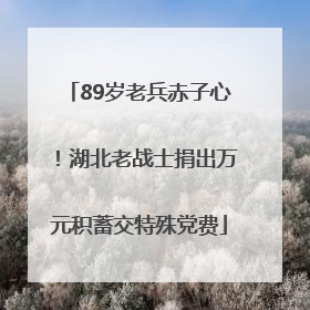 89岁老兵赤子心！湖北老战士捐出万元积蓄交特殊党费