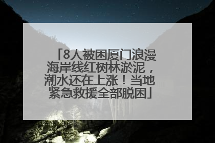 8人被困厦门浪漫海岸线红树林淤泥，潮水还在上涨！当地紧急救援全部脱困