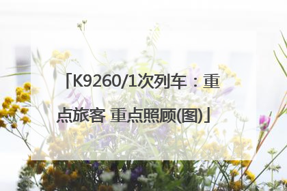 K9260/1次列车：重点旅客 重点照顾(图)