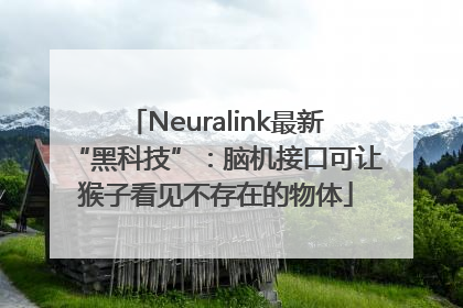 Neuralink最新“黑科技”：脑机接口可让猴子看见不存在的物体