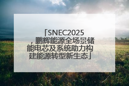 SNEC2025，鹏辉能源全场景储能电芯及系统助力构建能源转型新生态