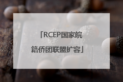 RCEP国家皖籍侨团联盟扩容